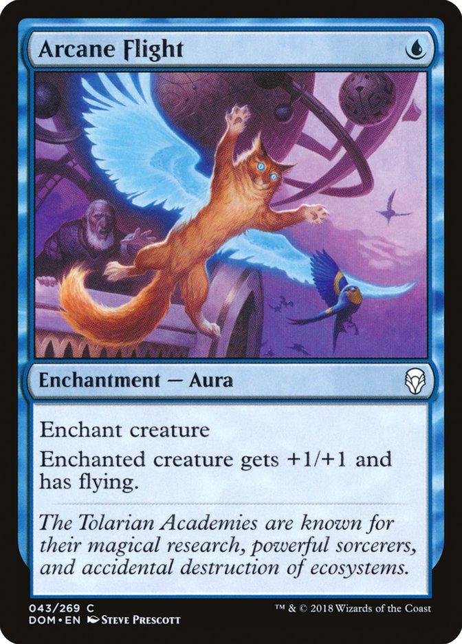 Arcane Flight [Dominaria] | GrognardGamesBatavia