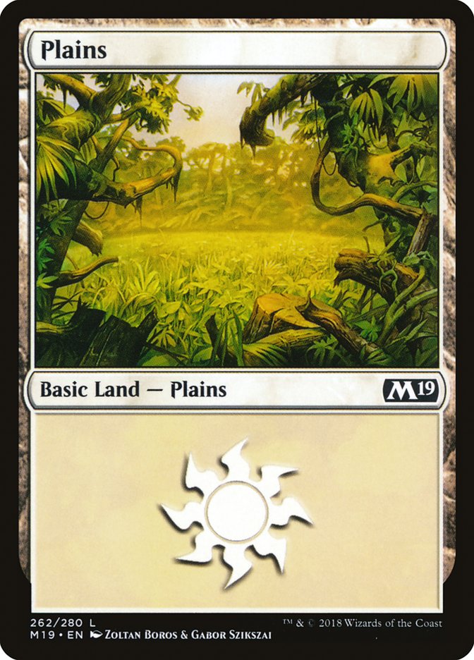 Plains (262) [Core Set 2019] | GrognardGamesBatavia