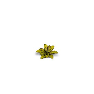 Gamers Grass Laser Plants: Dumb Cane | GrognardGamesBatavia