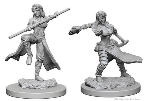 WizKids 726341 Human Monk female | GrognardGamesBatavia