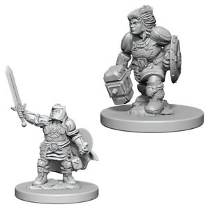 WizKids 726310 Dwarf Paladin FEMALE | GrognardGamesBatavia