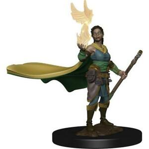 WizKids 930038 NMM Premium Female Elf Druid | GrognardGamesBatavia