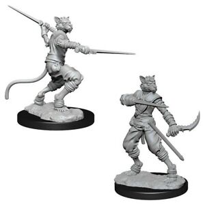 WizKids 735404 Tabaxi Rogue | GrognardGamesBatavia