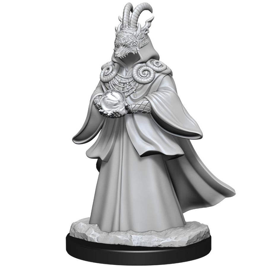 WizKids 902783 Shapeshifters | GrognardGamesBatavia