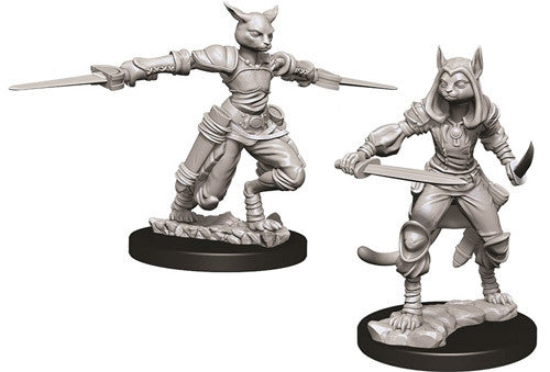 WizKids 737088 NMM Tabaxi Rogue | GrognardGamesBatavia