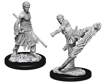 WizKids 738382 Half-Elf Monk | GrognardGamesBatavia