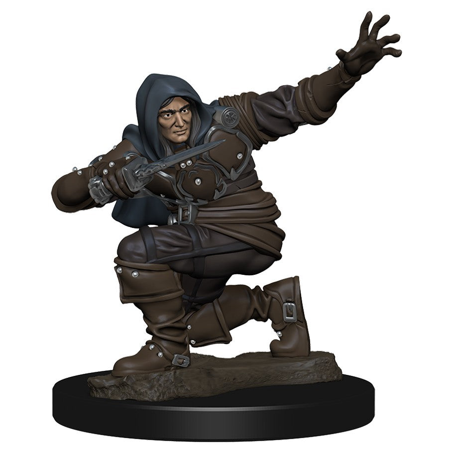 WizKids 775004 Pathfinder Premium Human Male Rogue | GrognardGamesBatavia