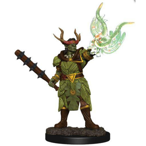 WizKids 775110 Pathfinder Premium Male Half-Orc Druid | GrognardGamesBatavia